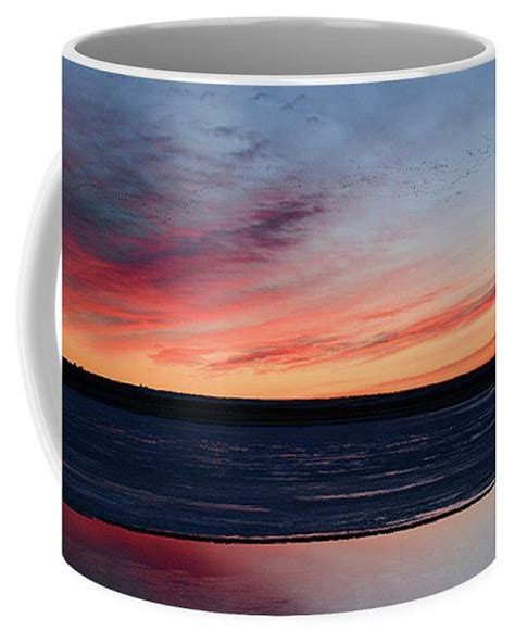 Sunrise Migration Coffee Mug for Sale by Whispering Peaks Photography | Coffee mugs, Mugs for ...