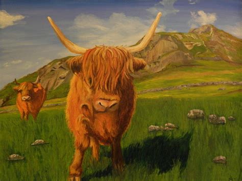 Highland Coos Painting by Kelly Bossidy - Fine Art America