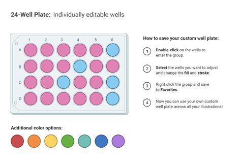 Editable 24-Well Plate | BioRender Science Templates