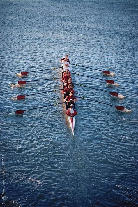 Women's crew team rowing in unison by Shelly Perry #rowboatpainting ...