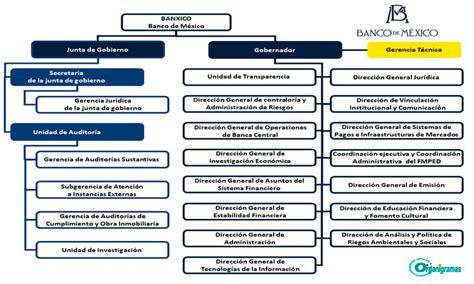 Organigrama Banco De Mexico