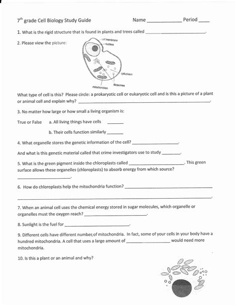 5Th Grade Science Worksheets Elegant 5Th Grade Scientific Method | 5Th ...