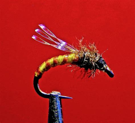 SALSA VERDE MIDGE | Fly fishing flies trout, Fly fishing flies pattern ...