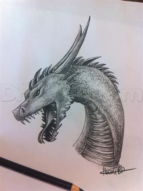 Realistic Dragon Drawing Outline You just need to consider the basic ...