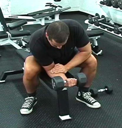 Best Forearm Workout - The Top 5 Forearm Exercises