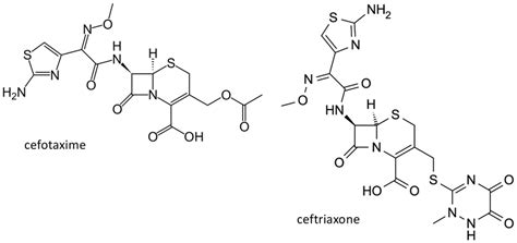 Chemical structure of the third generation cephalosporins cefotaxime... | Download Scientific ...