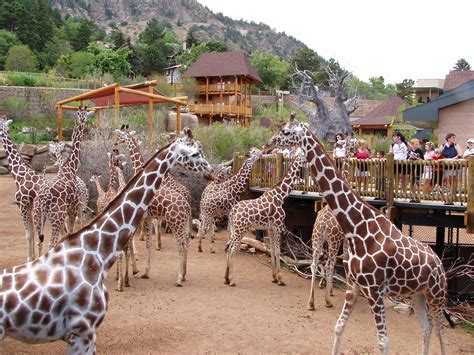 Colorado Springs Zoo! One Mile from The Broadmoor! | Colorado vacation ...