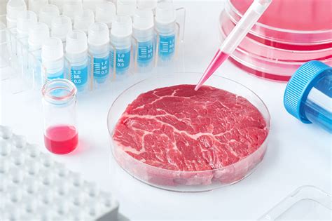 WHY LAB-GROWN MEAT IS THE FUTURE? – VirtusMindSet