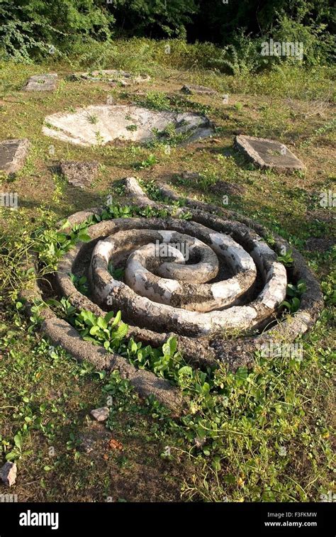 Champaner Pavagadh excavations M S University Baroda 1970 1975 brought ...