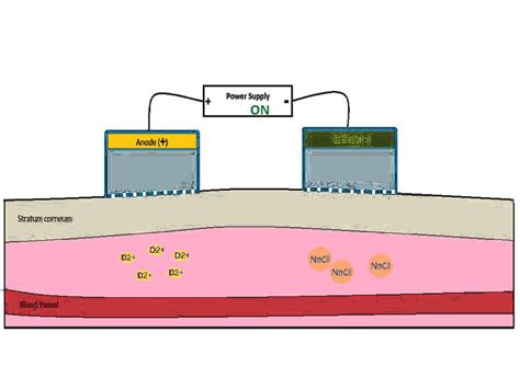 Octreotide Animation - YouTube