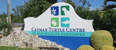 Cayman Turtle Centre - Grand Cayman Island – our3kidsvtheworld