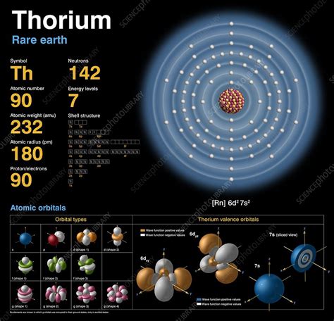 Thorium, atomic structure - Stock Image - C018/3771 - Science Photo Library