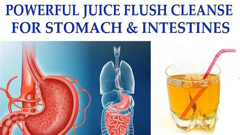 POWERFUL JUICE DETOX CLEANSE FOR STOMACH & INTESTINES - YouTube