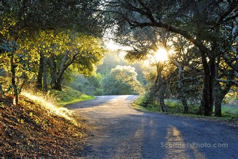 A Guide to Petaluma Parks - Visit Petaluma California in 2022 ...