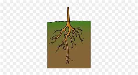 Cartoon Characters, Animals, And Plants - Cartoon Image Of Roots - Free ...