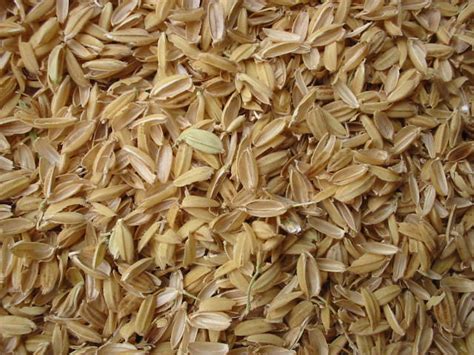 Rice Husk Manufacturer in sinnar Maharashtra India by B.J.M Company Pvt. Ltd. | ID - 4518575