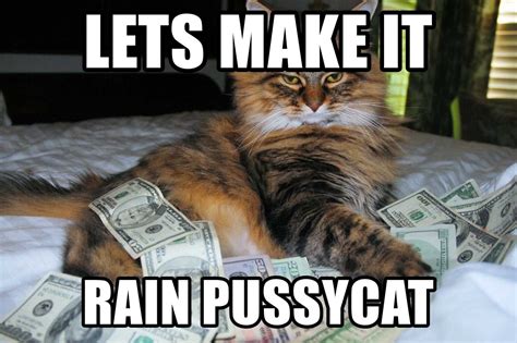 Make It Rain Meme Discover more interesting Animal, Animals, Cash, Cat memes. https://www ...