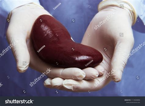 Kidney transplant surgery Images, Stock Photos & Vectors | Shutterstock