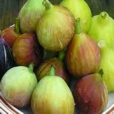 Easy Healthy Tips: Anjeer Fruits