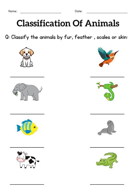 Classification Of Animals Worksheet