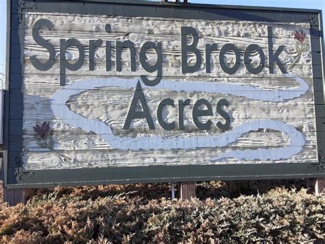 About Spring Brook — Springbrook Acres HOA