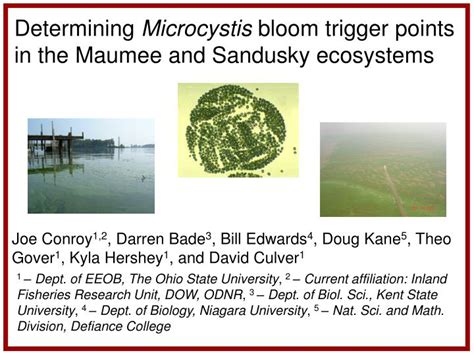 PPT - Determining Microcystis bloom trigger points in the Maumee and Sandusky ecosystems ...