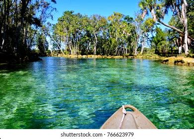 Three Sisters Springs Crystal River Florida Stock Photo 766623979 ...