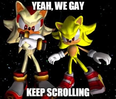 Like this is you ship Sonic and Shadow the hedgehog from Sonic the ...