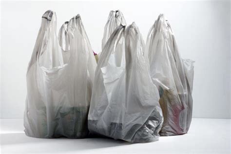 Lancaster Township single-use plastic bag ban begins