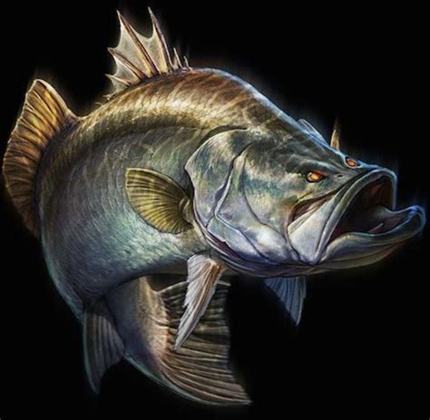 Mean ass Barramundi ..... | Tattoo ideas | Pinterest | Bass fishing