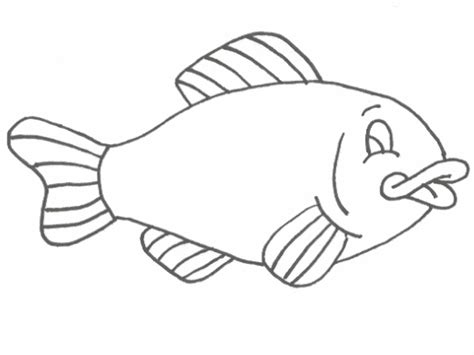 Free Fish Drawing Pictures, Download Free Fish Drawing Pictures png images, Free ClipArts on ...