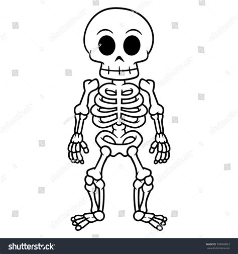 Clipart Pictures Of Skeletons