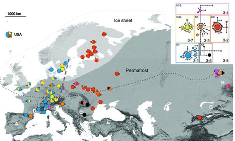 Haplogroup distribution map with haplotype network of Dashed line... | Download Scientific Diagram