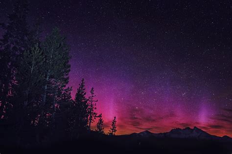 landscape, Night, Stars, Nature, Pink, Trees Wallpapers HD / Desktop and Mobile Backgrounds