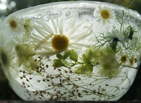 A 'how to' guide to making frozen flower ice bowls with seasonal British blooms - The Natural ...