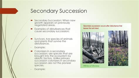 Ecological Succession and Marine Ecosystems - ppt download