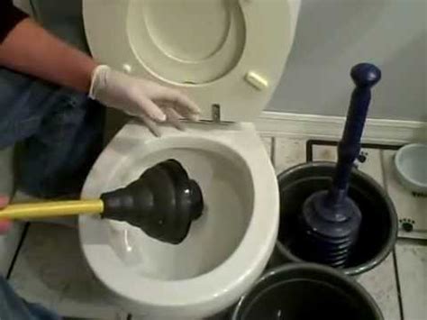 best plunger for toto toilet - posis-michal