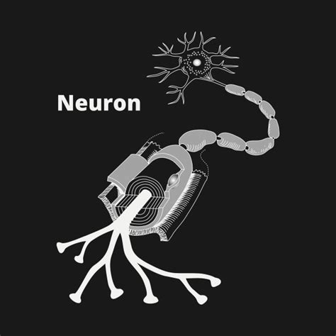 Neuron synapse anatomical structure - Neuron - T-Shirt | TeePublic