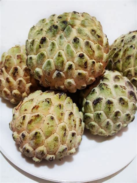 💦Atis or Sugar-apple | Sugar apples, Fruit, Apple