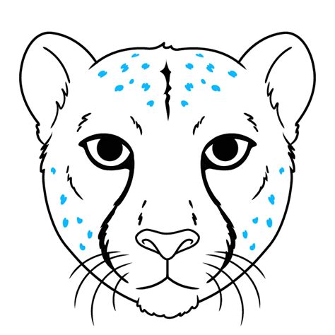 Cheetahs Drawing Face