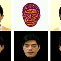 Topographic labels for facial details representation. | Download Scientific Diagram