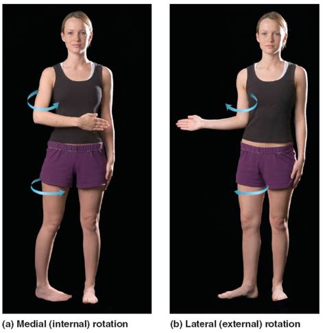 Rotation of a joint is when it is pivoting about an axis. Rotation can ...