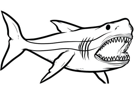 Shark Drawing Easy | Free download on ClipArtMag