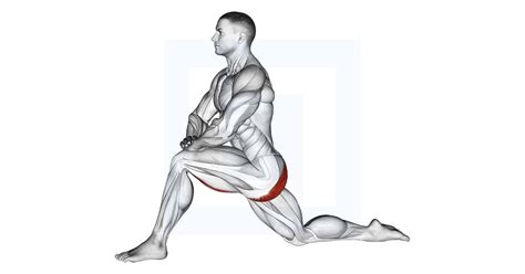 Kneeling Hip Flexor Stretch - Guide, Benefits, and Form