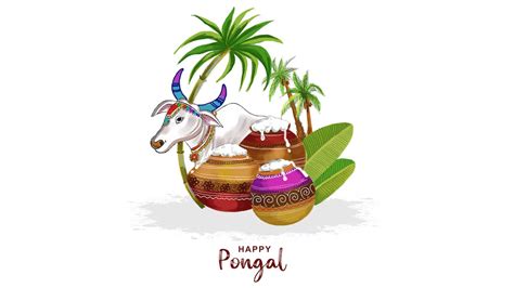 Kaanum Pongal 2024: 30+ Wishes And Messages To Send Your Loved Ones For ...