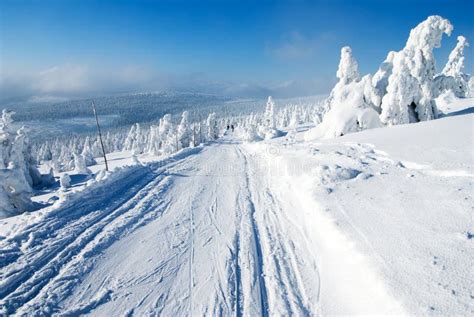 Wintry landscape scenery stock photo. Image of forest - 22639604