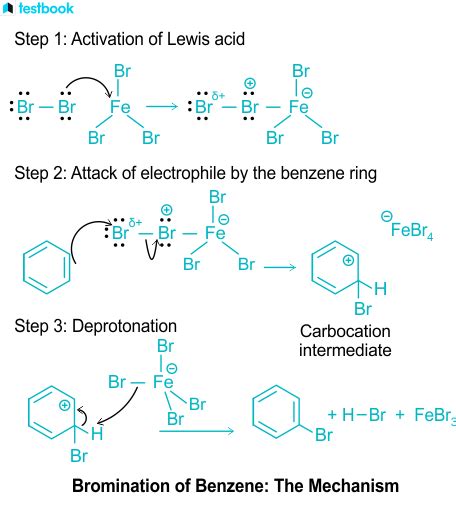 Bromination - Learn the Types, Importance, Process and Examples