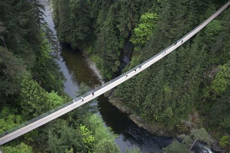 Capilano Suspension Bridge Reviews | U.S. News Travel