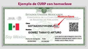 Cómo Consultar La CURP Con Homoclave E Imprimir