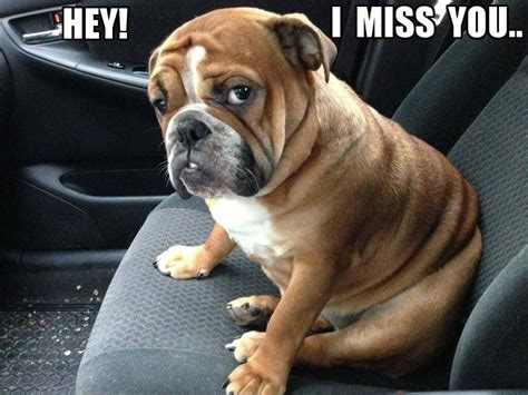 17 of the Best “I Miss You” Memes (Top Mobile Trends)Top Mobile Trends ...